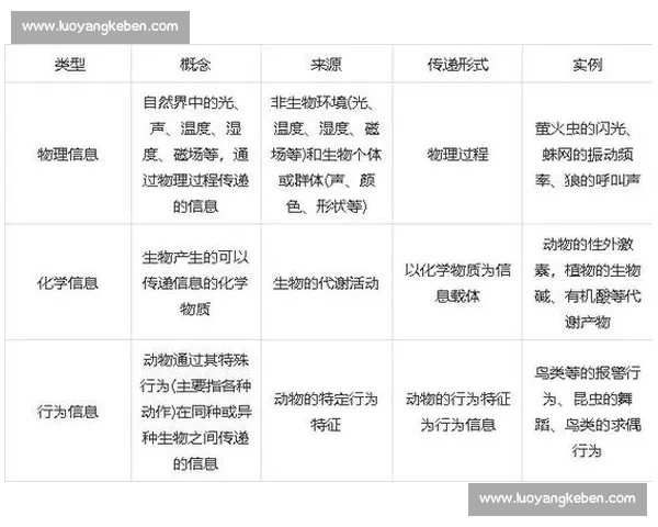 以平台发布为中心的内容生态建设与高质量传播新路径探索实践研究